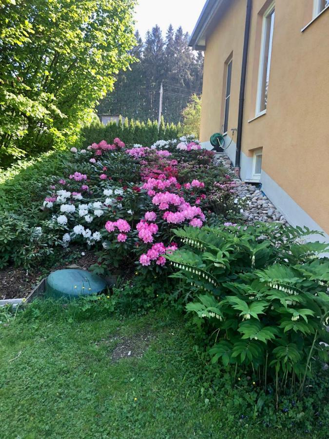 Am Wildbach Bei Passau Apartment Saming Bagian luar foto