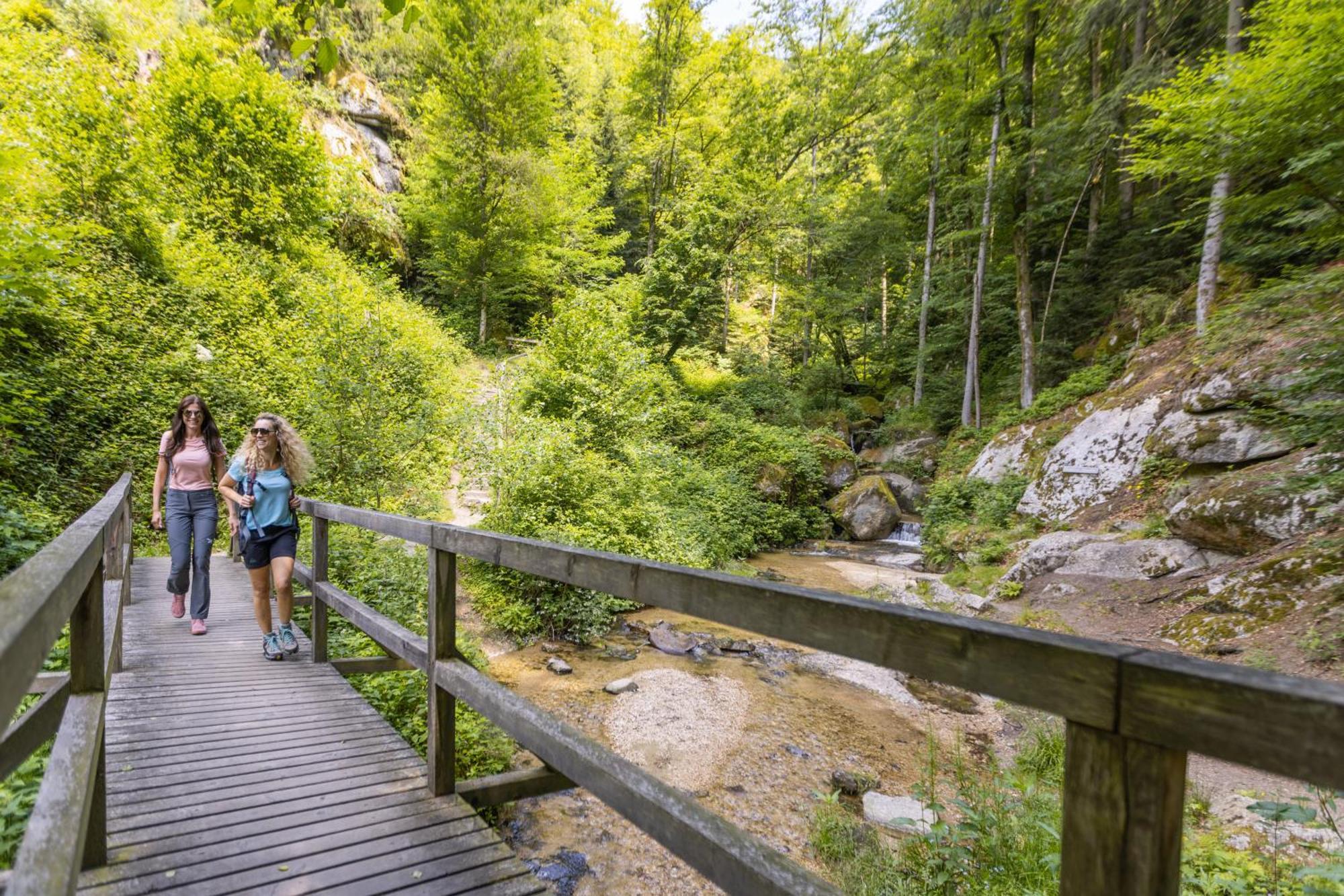 Am Wildbach Bei Passau Apartment Saming Bagian luar foto