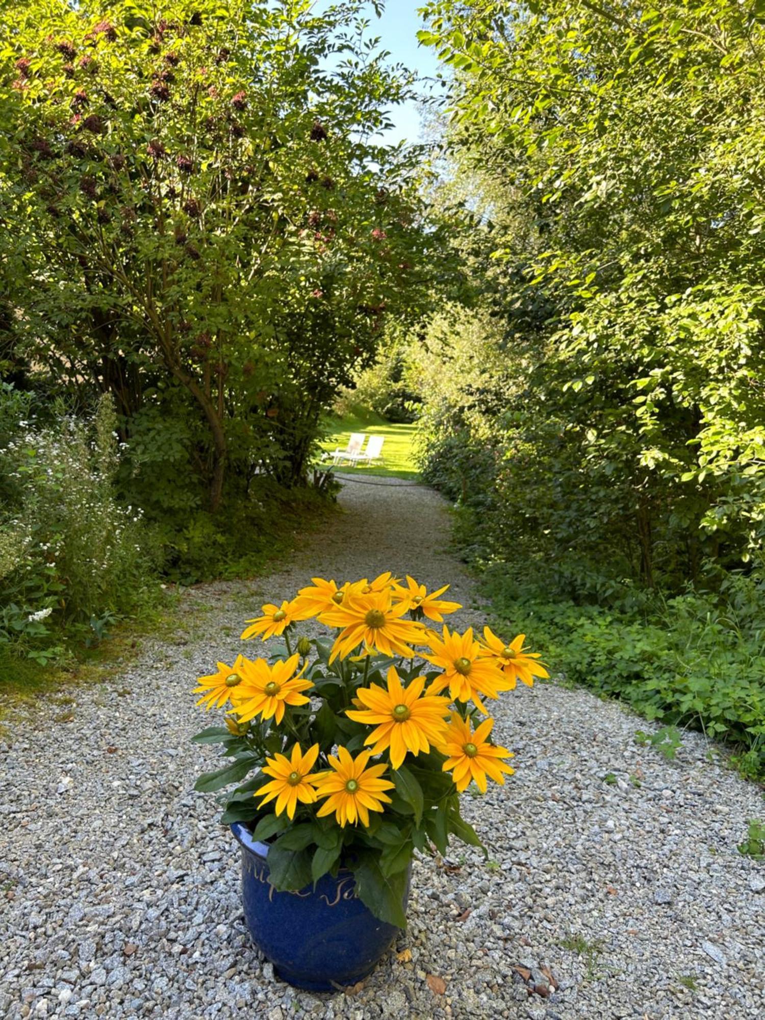 Am Wildbach Bei Passau Apartment Saming Bagian luar foto